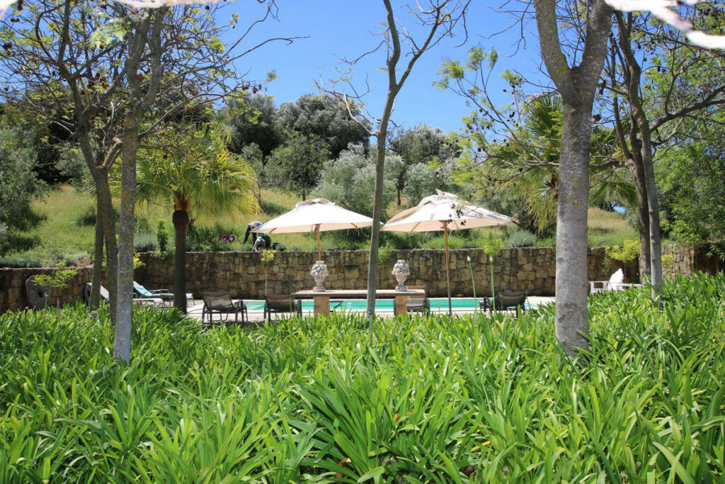 Finca - Cortijo Gaucín Málaga - image 6