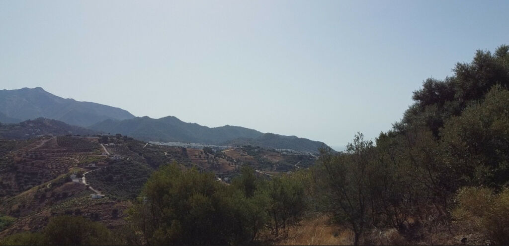 Land Frigiliana Málaga - image 6