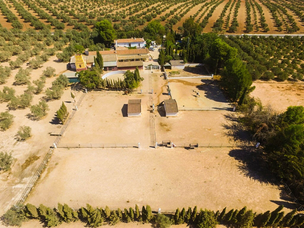 Finca - Cortijo Antequera Málaga - image 7