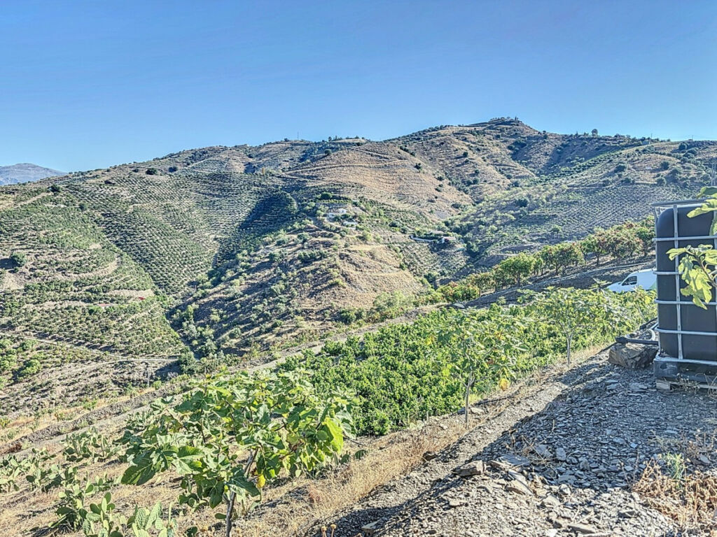 Finca - Cortijo Benamargosa Málaga - image 8