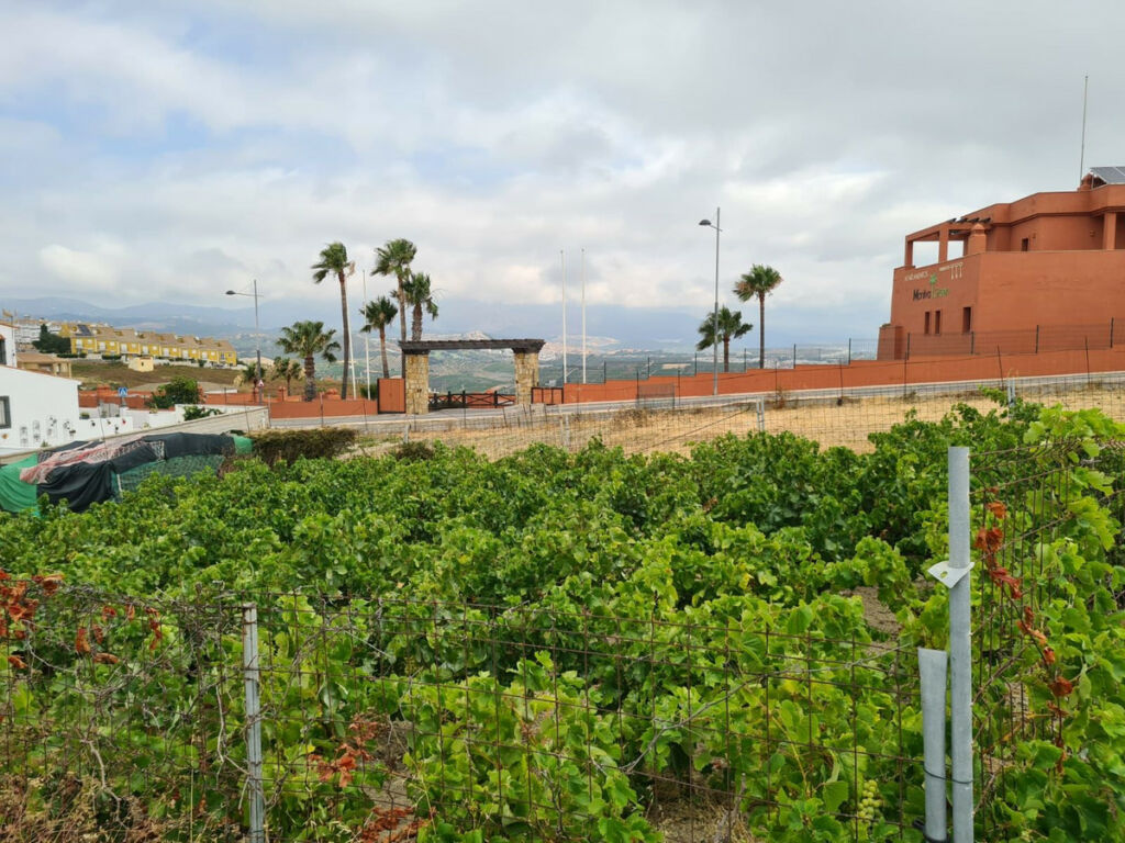 Residential Plot Manilva Málaga - image 7