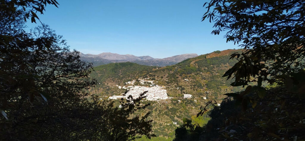 Finca - Cortijo Jubrique Málaga