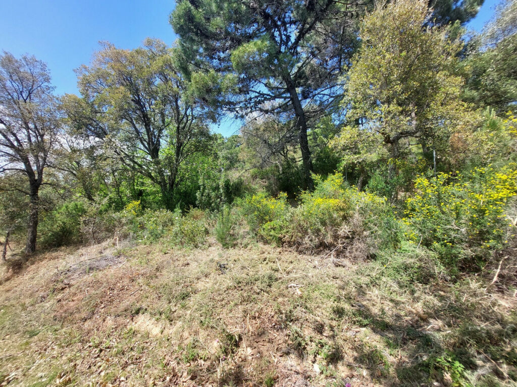 Land Gaucín Málaga - image 8