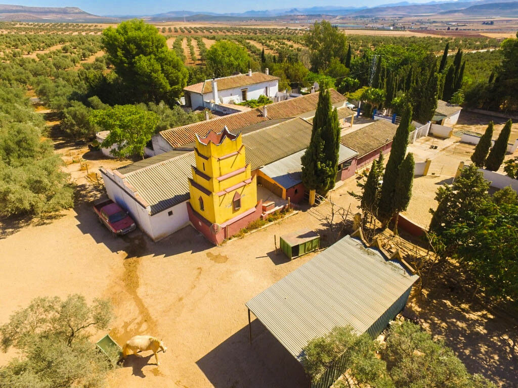 Finca - Cortijo Antequera Málaga - image 8