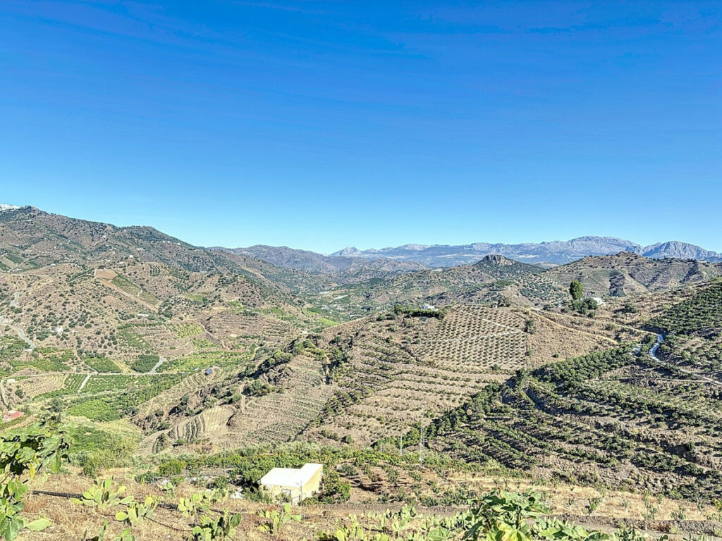 Finca - Cortijo Benamargosa Málaga - image 10