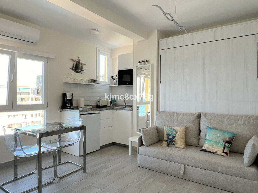 Top Floor Studio Calahonda Málaga - image 9