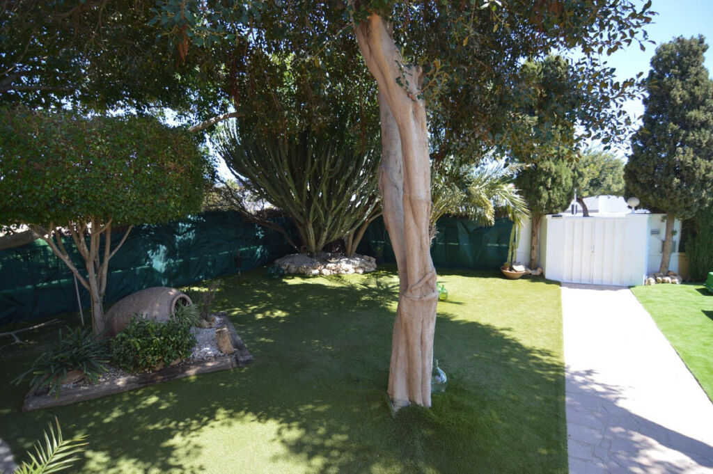 Bungalow Torrevieja Alicante - image 10