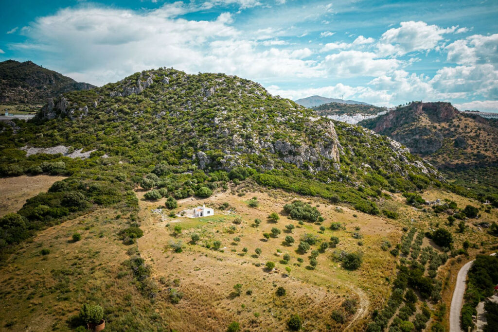 Finca - Cortijo Casares Málaga - image 10