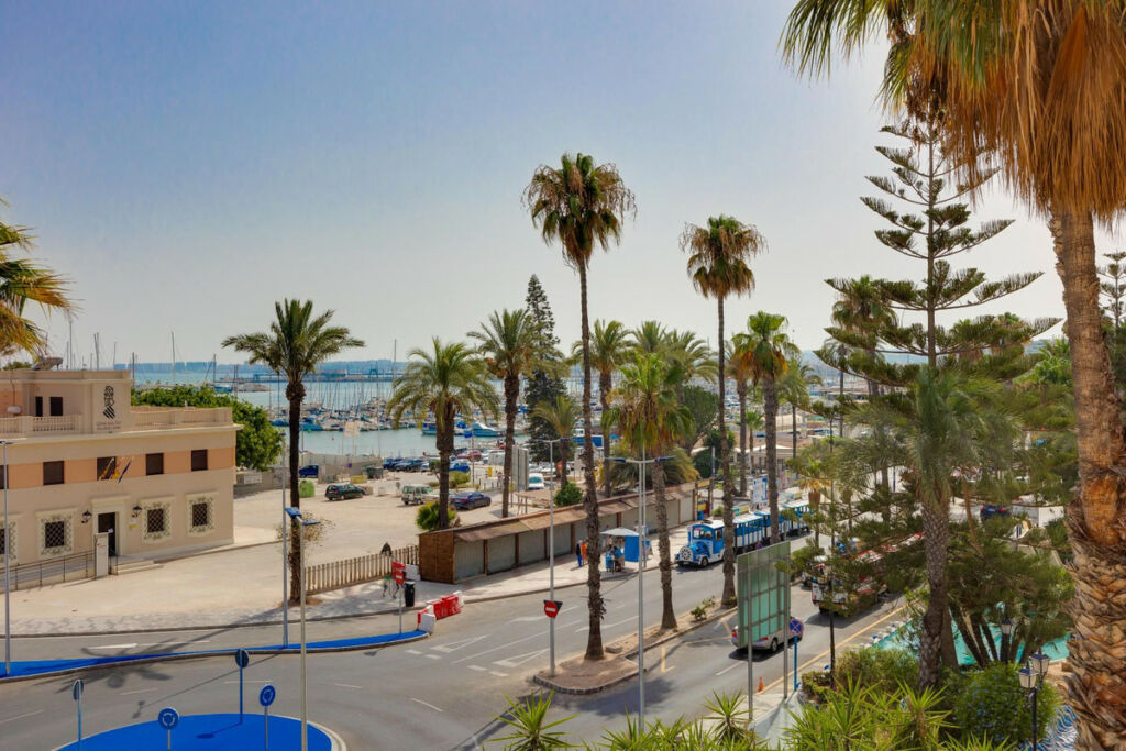 Middle Floor Apartment Torrevieja Alicante - image 10