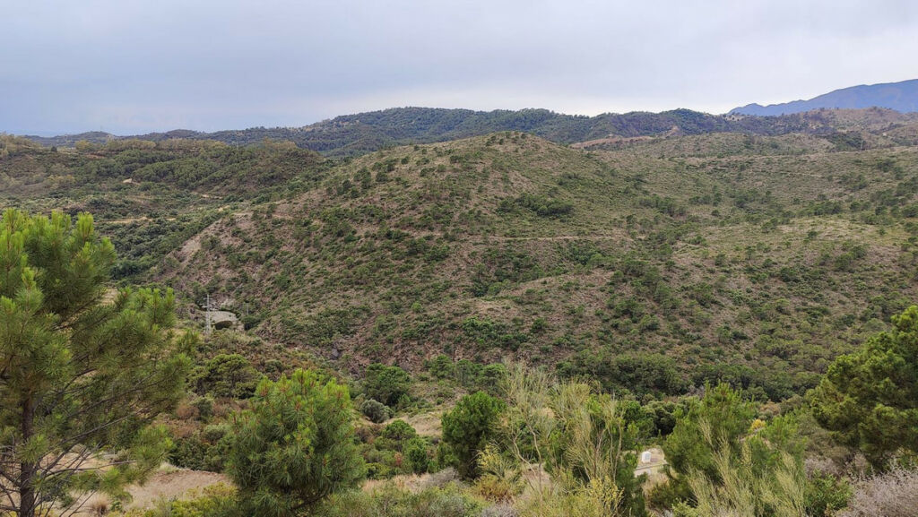Residential Plot Benahavís Málaga - image 11