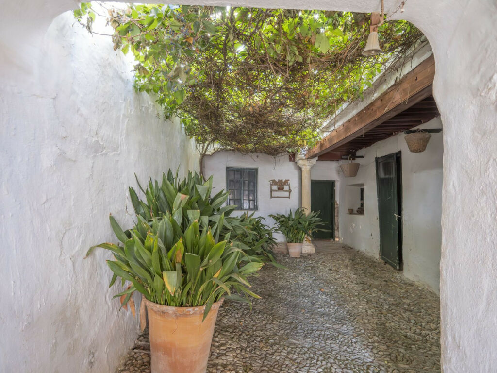 Detached Villa Ronda Málaga - image 12