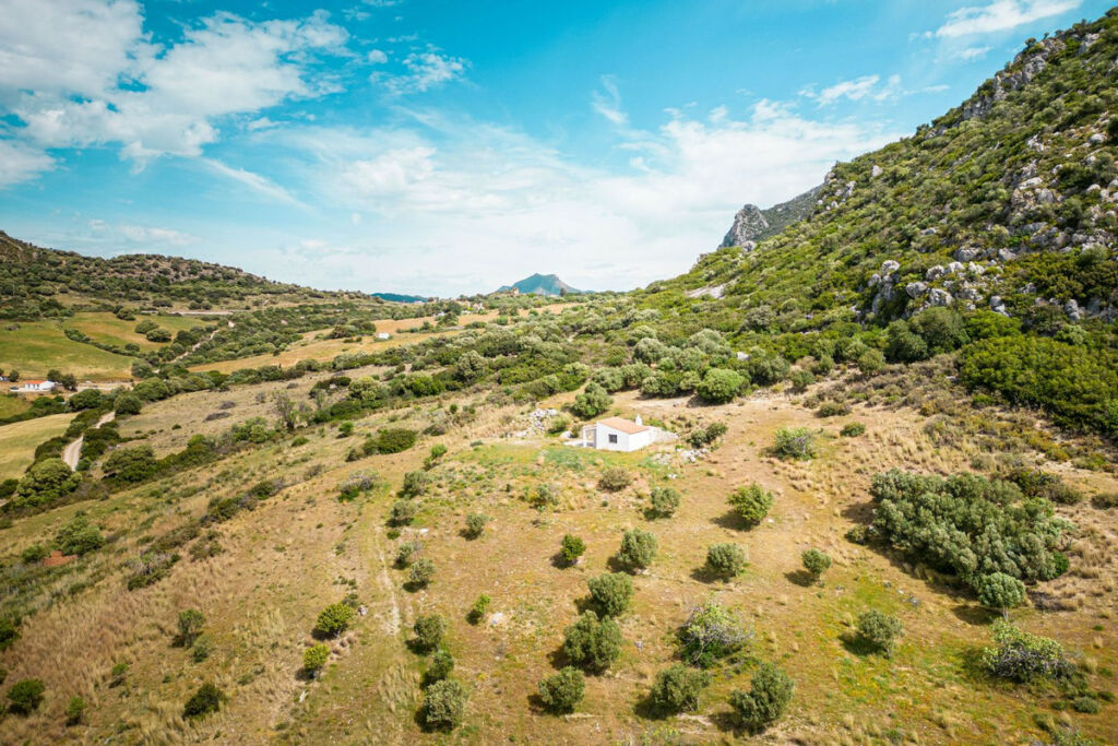Finca - Cortijo Casares Málaga - image 12