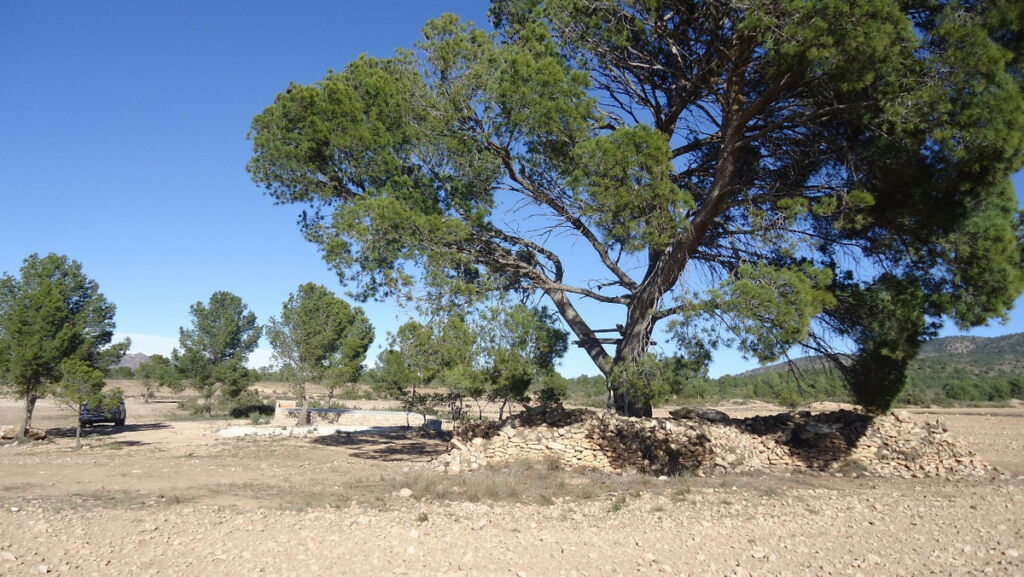 Land Yecla Murcia - image 12