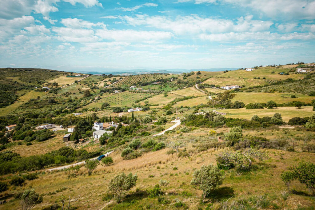 Finca - Cortijo Casares Málaga - image 13