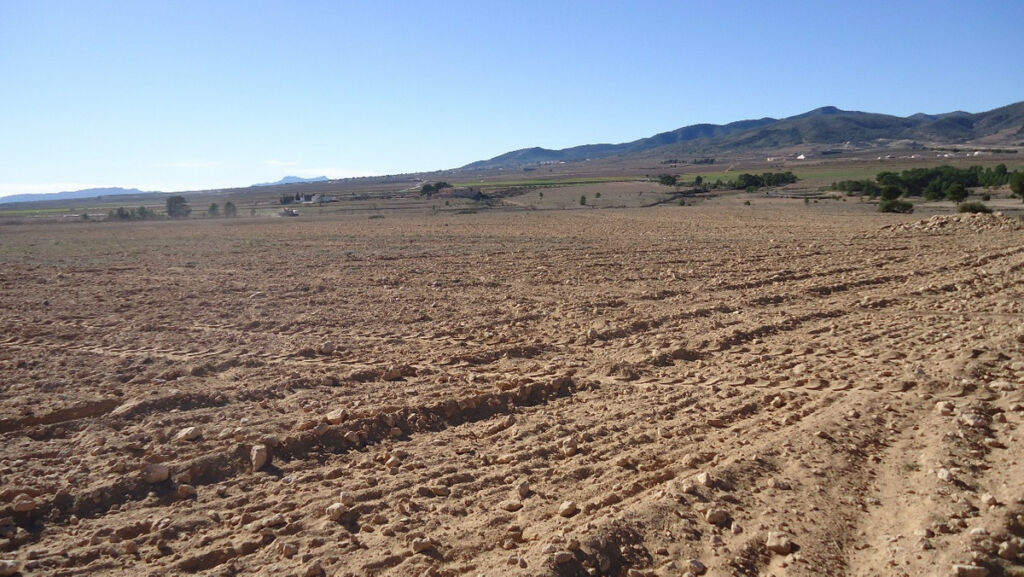 Land Yecla Murcia - image 15