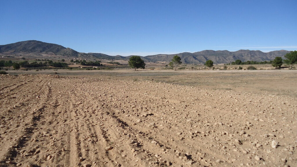 Land Yecla Murcia - image 16