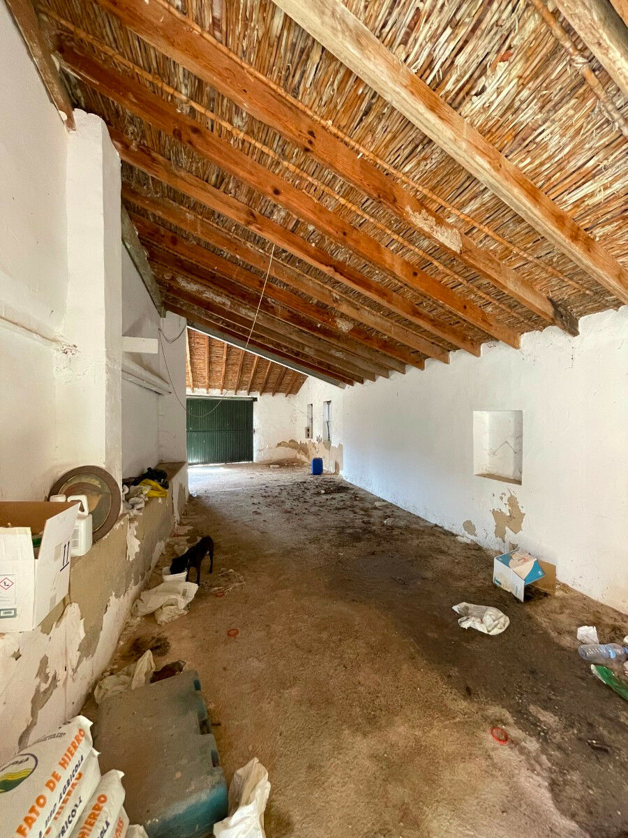 Detached Villa Redován Alicante - image 17