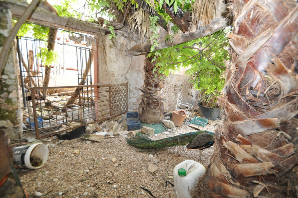 Finca - Cortijo Yecla Murcia - image 18