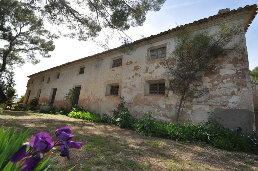 Finca - Cortijo Yecla Murcia - image 2