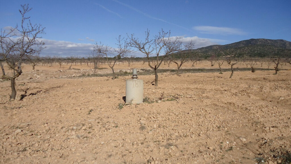 Land Yecla Murcia - image 20