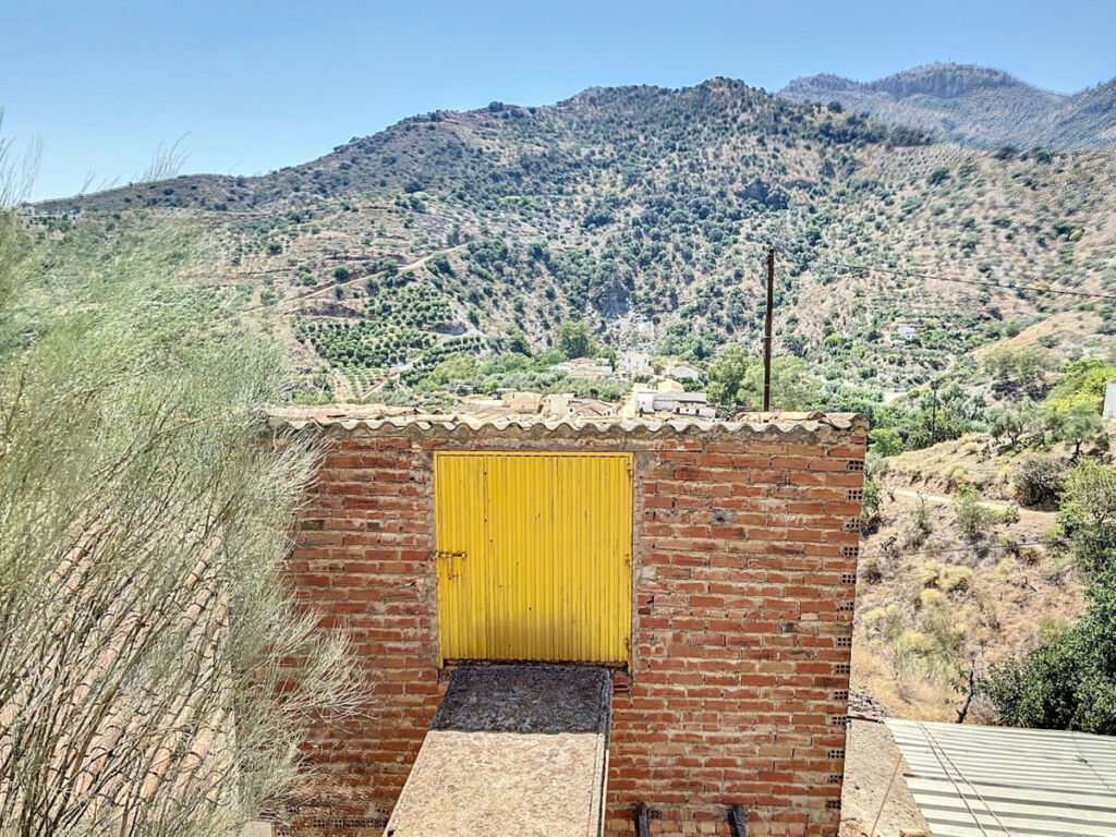 Finca - Cortijo Comares Málaga - image 21