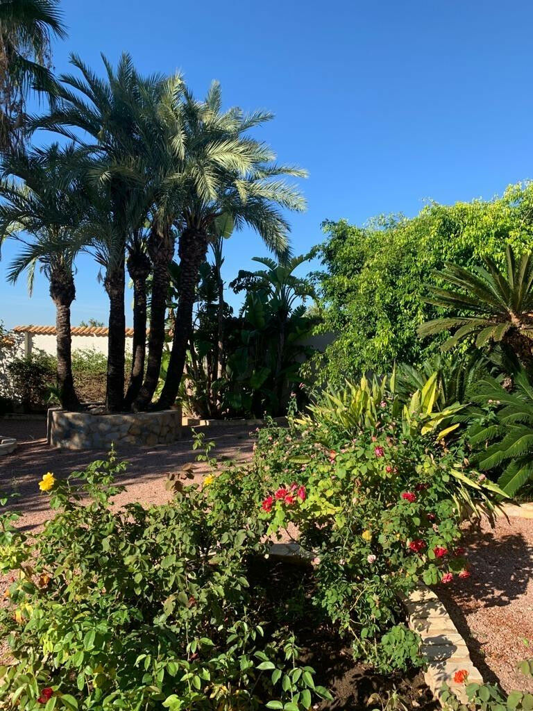 Bungalow Ciudad Quesada Alicante - image 22