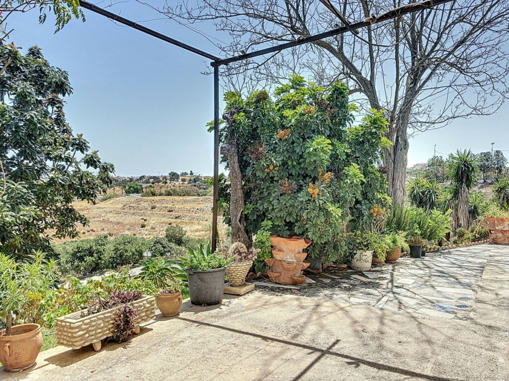 Finca - Cortijo Torre del Mar Málaga - image 23