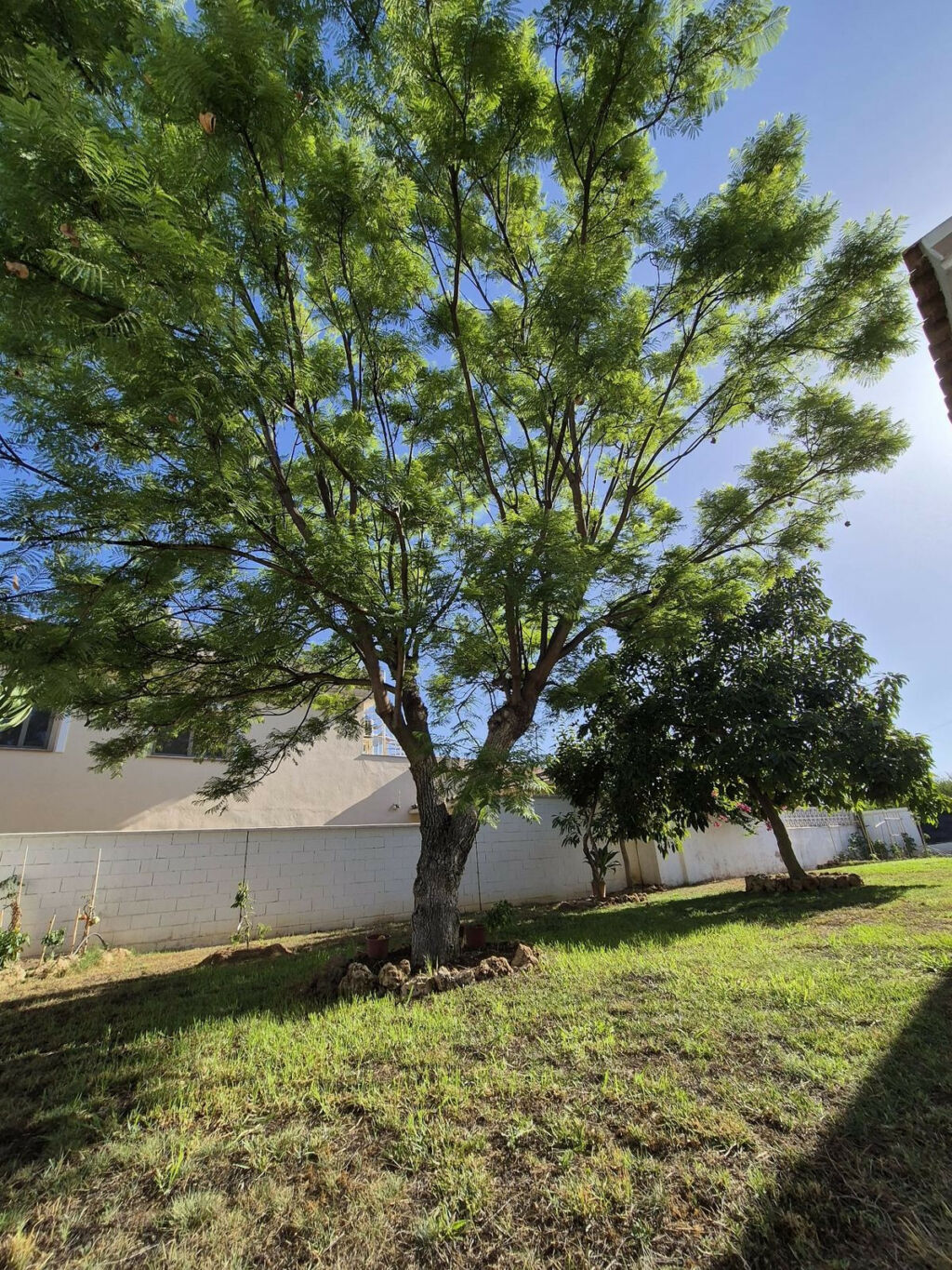 Detached Villa San Pedro de Alcántara Málaga - image 22