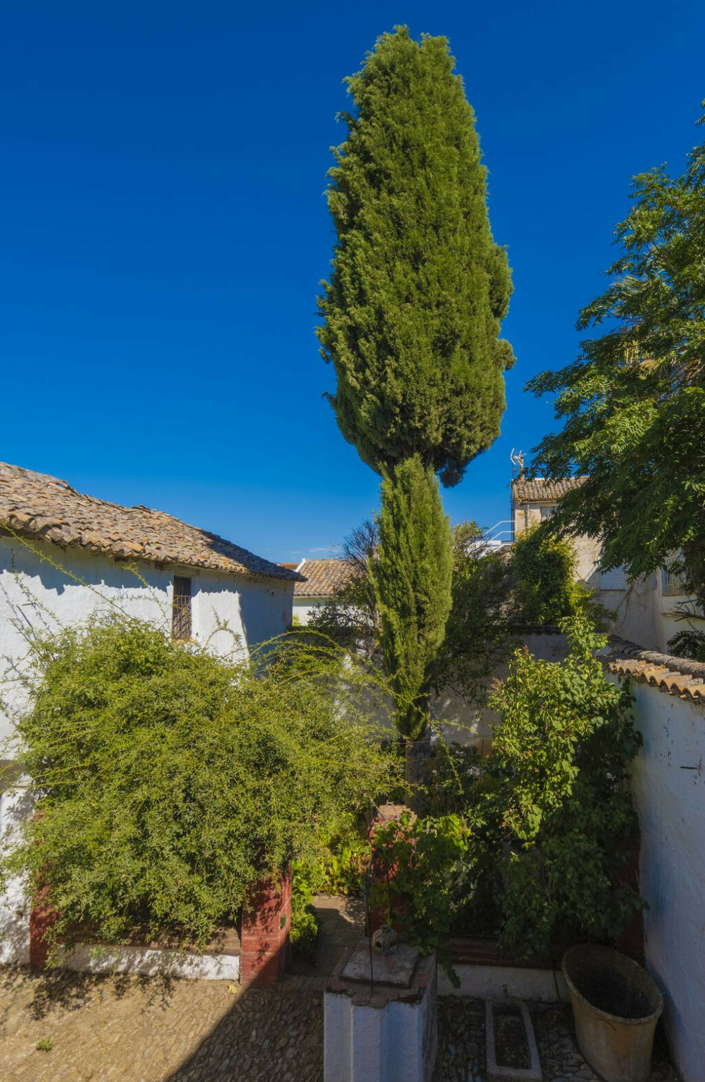 Detached Villa Ronda Málaga - image 27