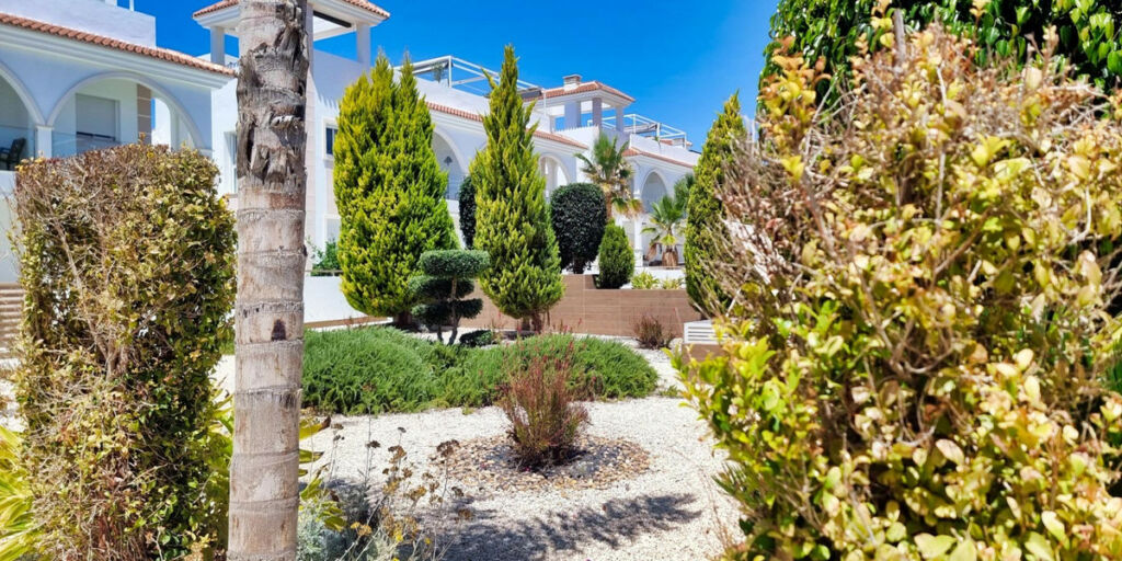 Bungalow Dona Pepa Alicante - image 28