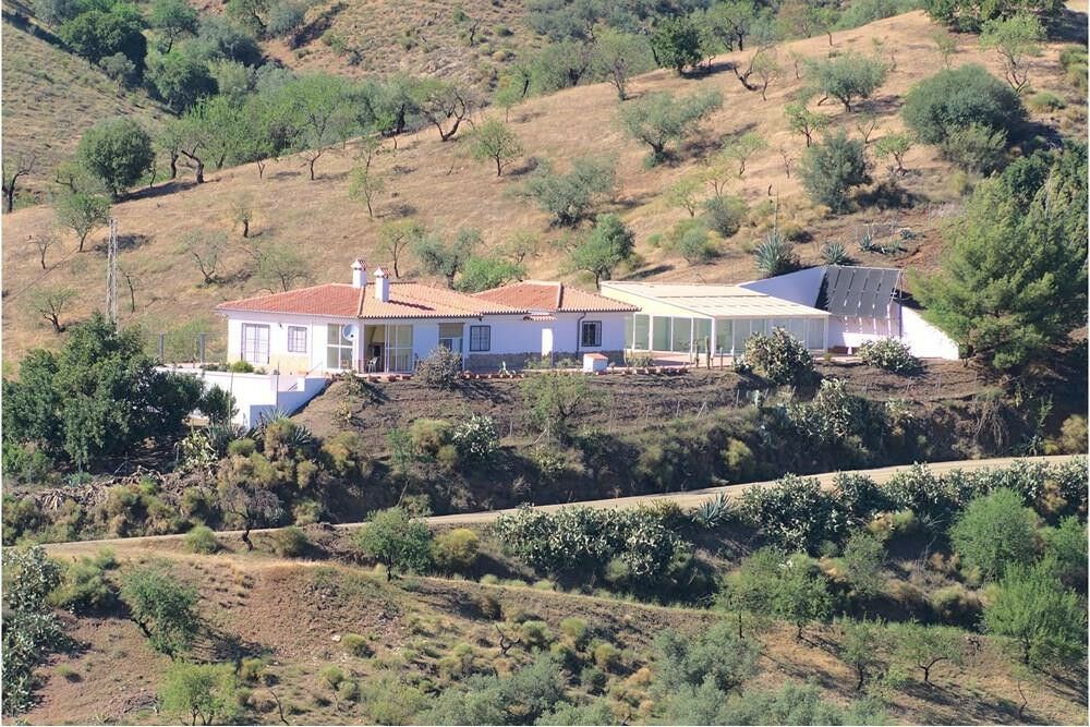 Detached Villa Valverde Alicante - image 3