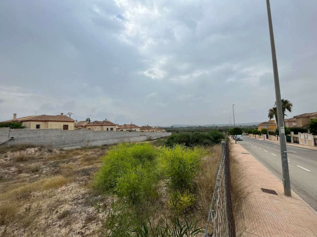 Land San Fulgencio Alicante - image 3
