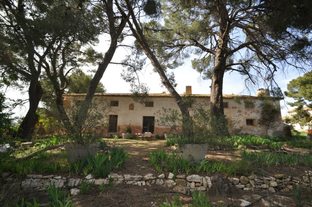 Finca - Cortijo Yecla Murcia - image 3