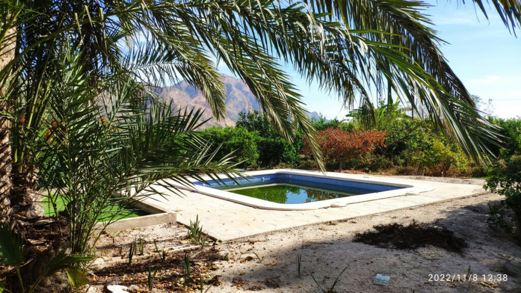 Detached Villa Redován Alicante - image 3