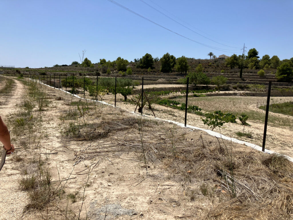 Land Benissa Alicante - image 3