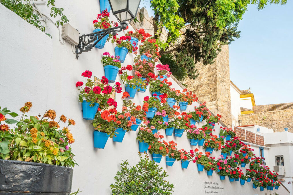 Townhouse Marbella Málaga - image 36