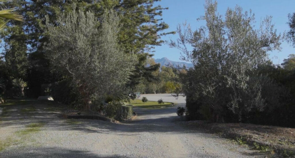 Detached Villa Atalaya Málaga - image 34