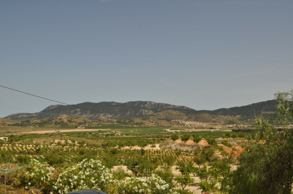 Finca - Cortijo La Canalosa Alicante - image 4