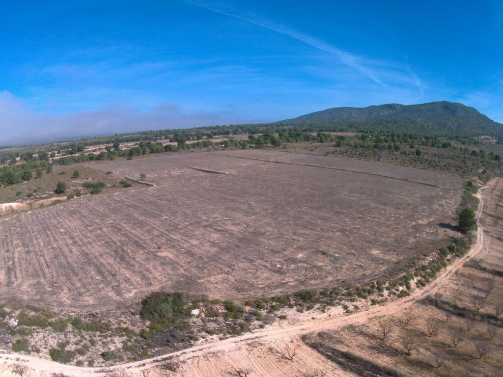 Land Yecla Murcia - image 4