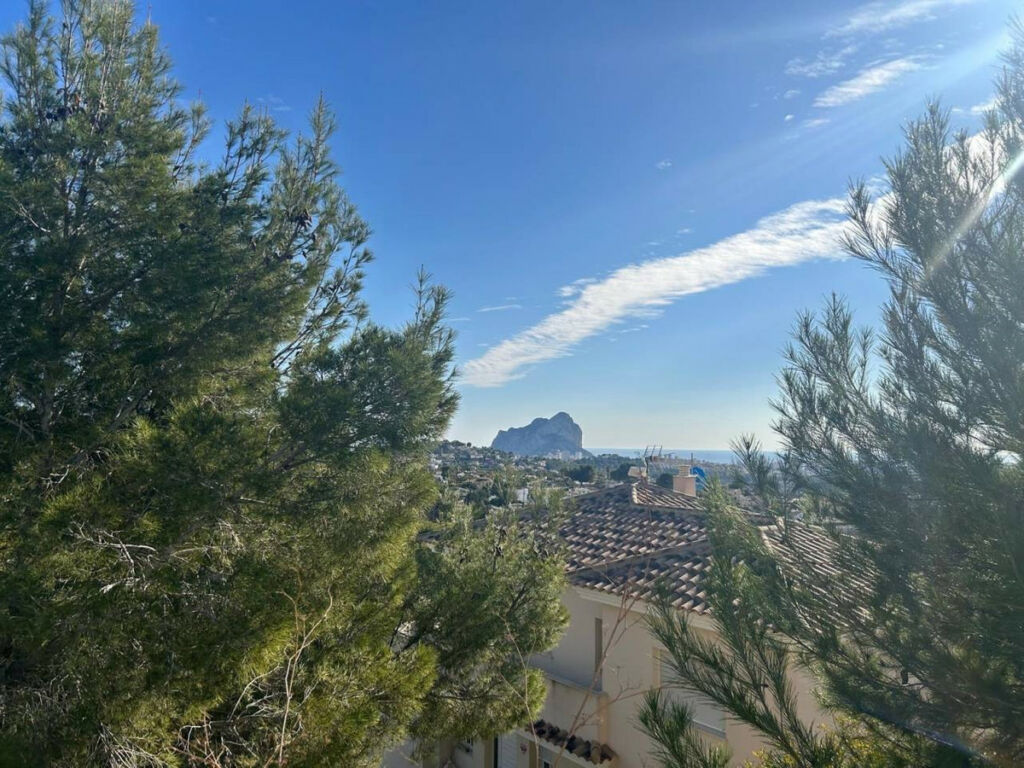 Land Calpe Alicante - image 3