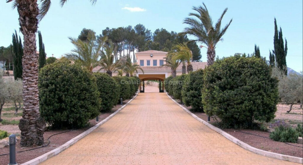 Detached Villa Penaguila Alicante - image 4