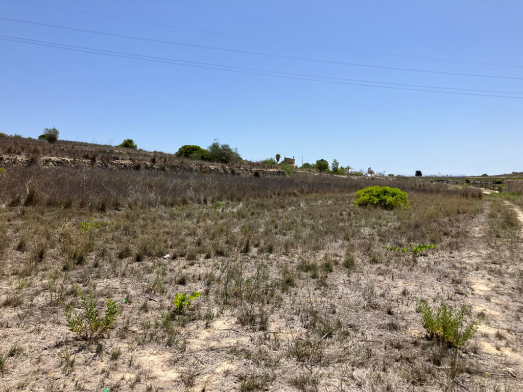 Land Benissa Alicante - image 4