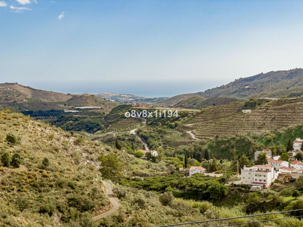 Detached Villa Macharaviaya Málaga - image 41
