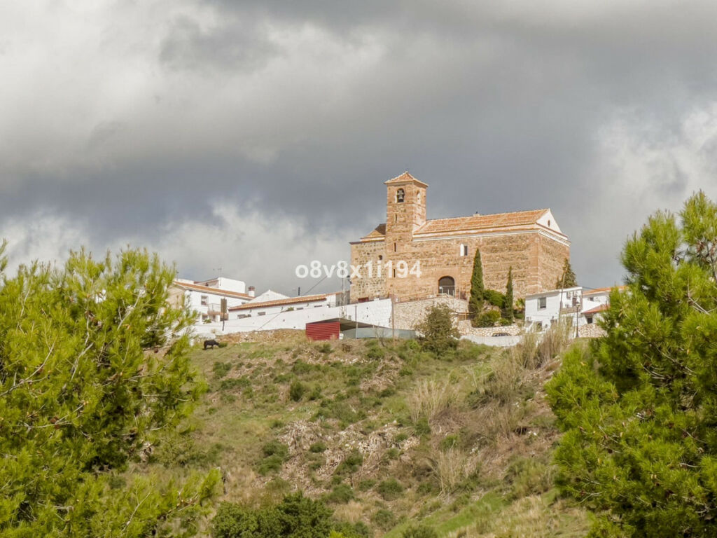 Detached Villa Macharaviaya Málaga - image 42