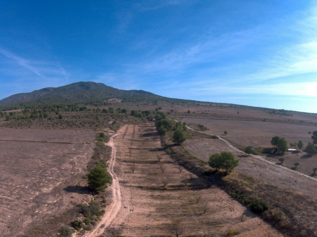 Land Yecla Murcia - image 5