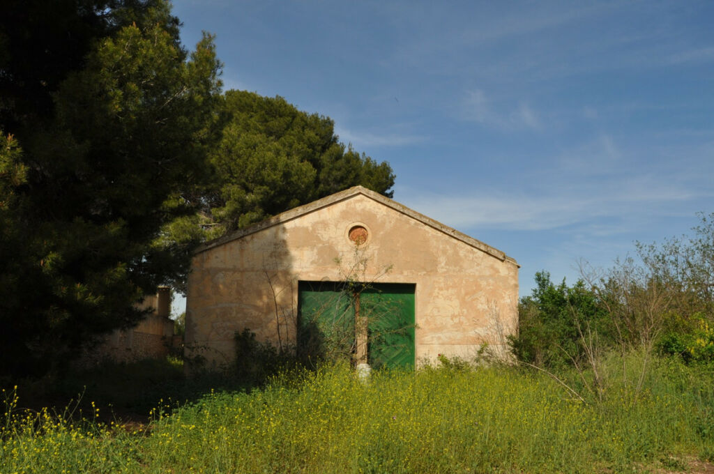 Finca - Cortijo Yecla Murcia - image 5