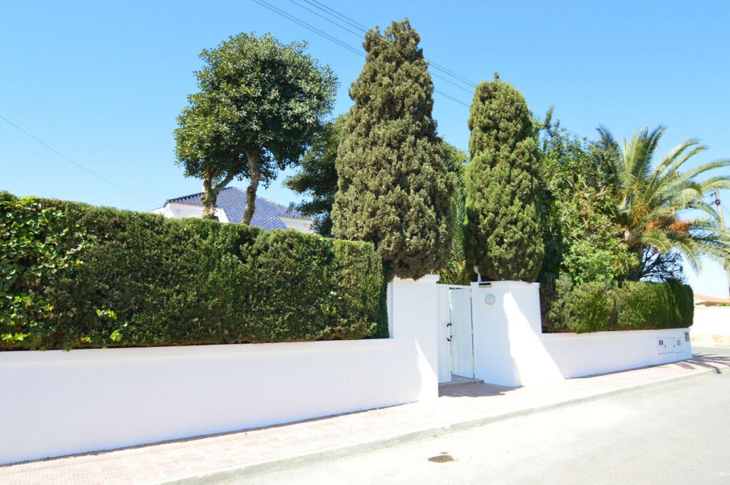 Bungalow Torrevieja Alicante - image 6