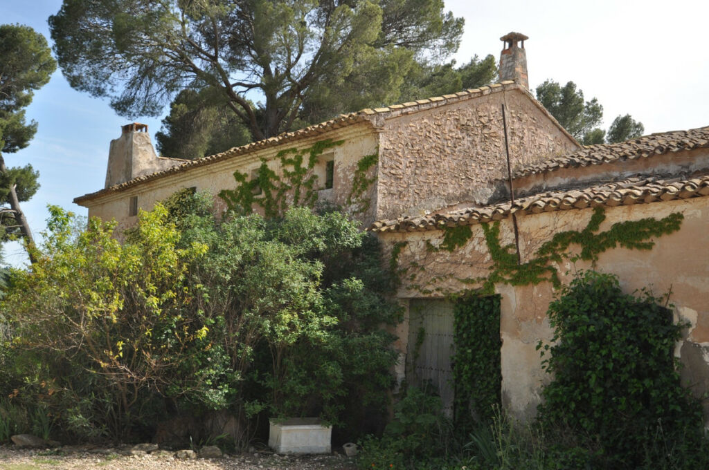 Finca - Cortijo Yecla Murcia - image 6