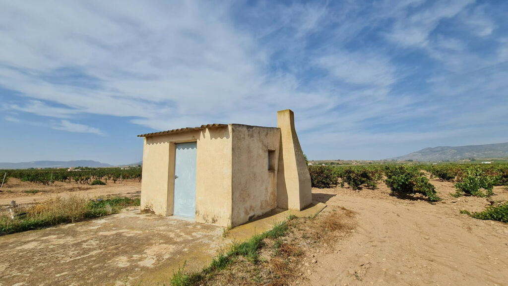 Land Pinoso Alicante - image 6