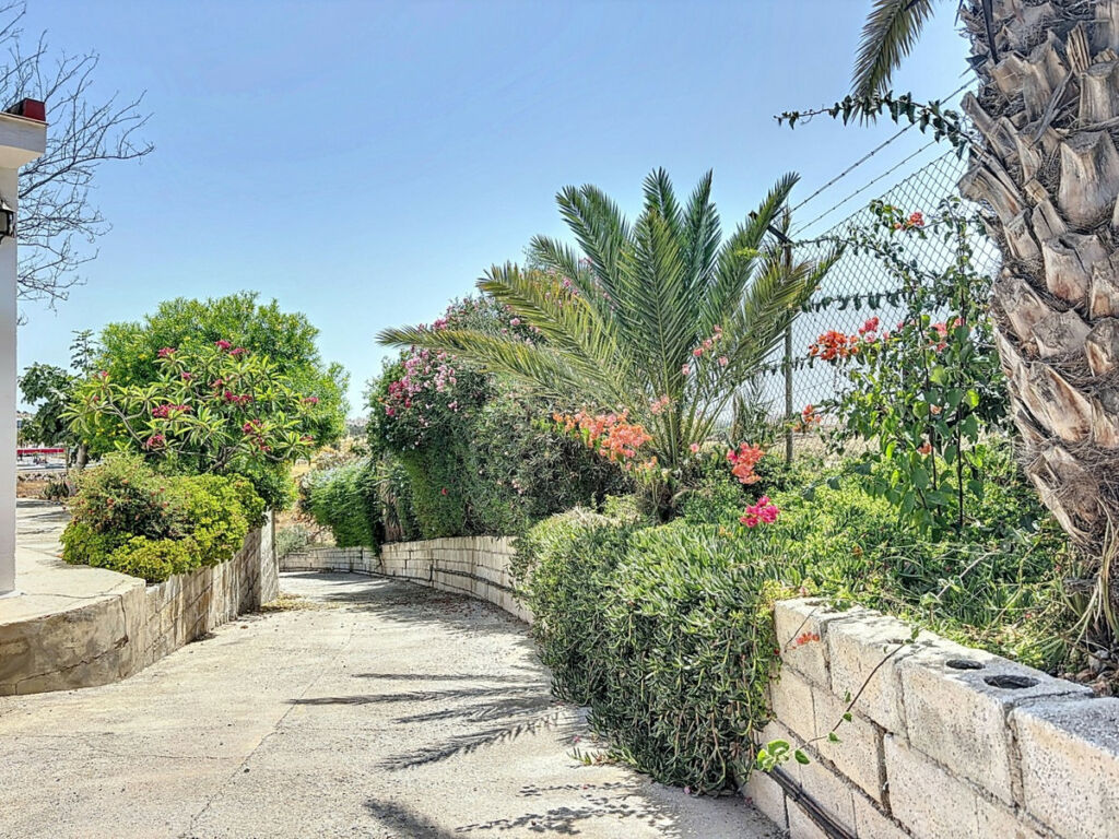 Finca - Cortijo Torre del Mar Málaga - image 6